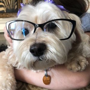 Meet your Posher, Morgan